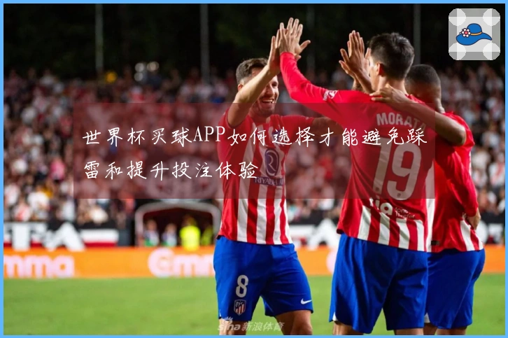 世界杯买球APP如何选择才能避免踩雷和提升投注体验