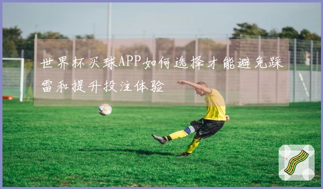 世界杯买球APP如何选择才能避免踩雷和提升投注体验