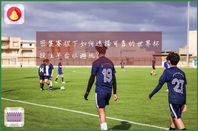密集赛程下如何选择可靠的世界杯投注平台以避坑？
