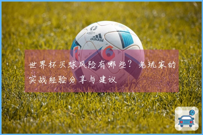 世界杯买球风险有哪些？老玩家的实战经验分享与建议